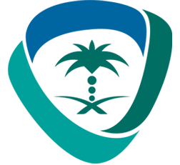 Saudi Authority for Intellectual Property